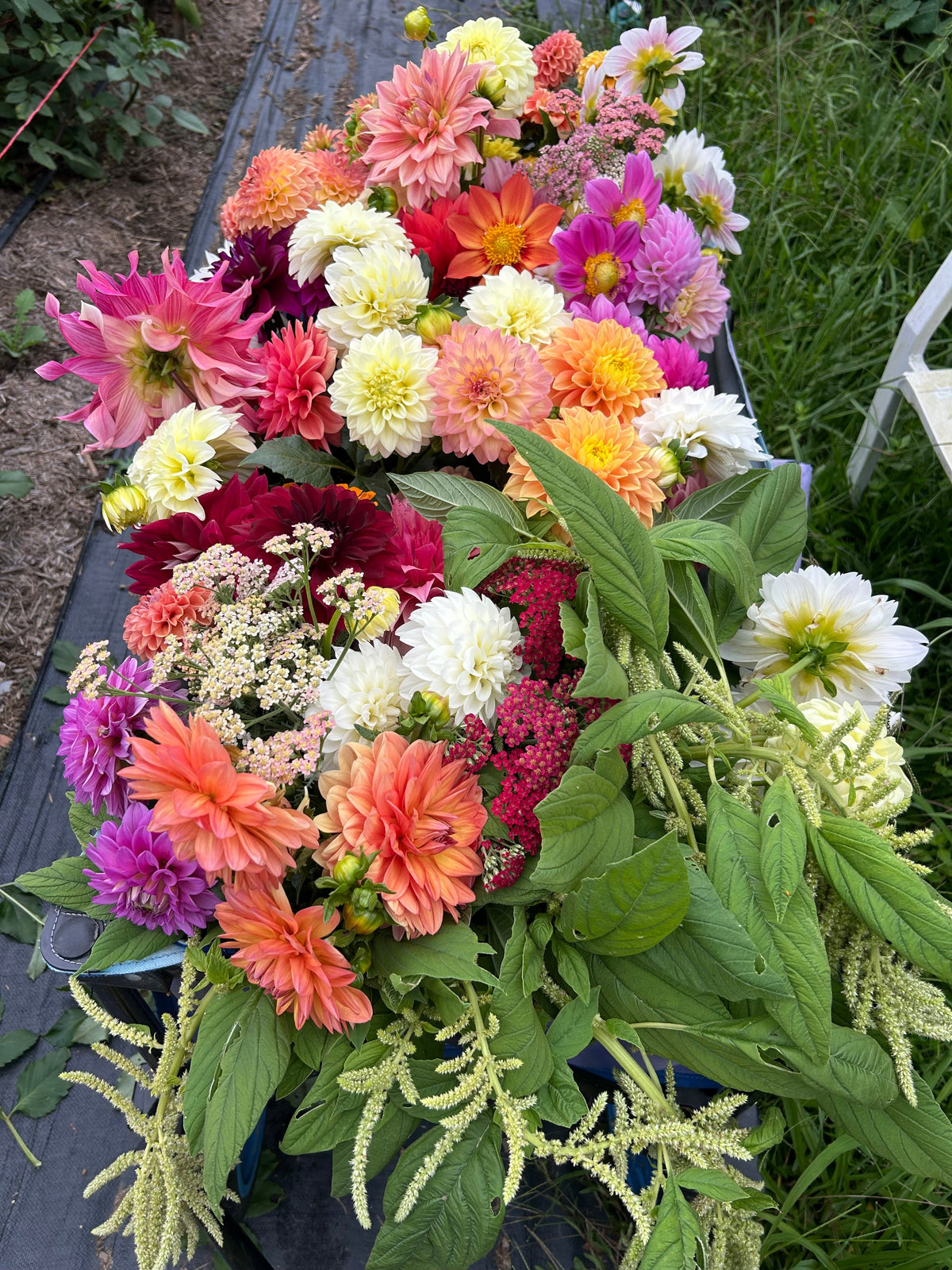 Harvest Bloom Buckets