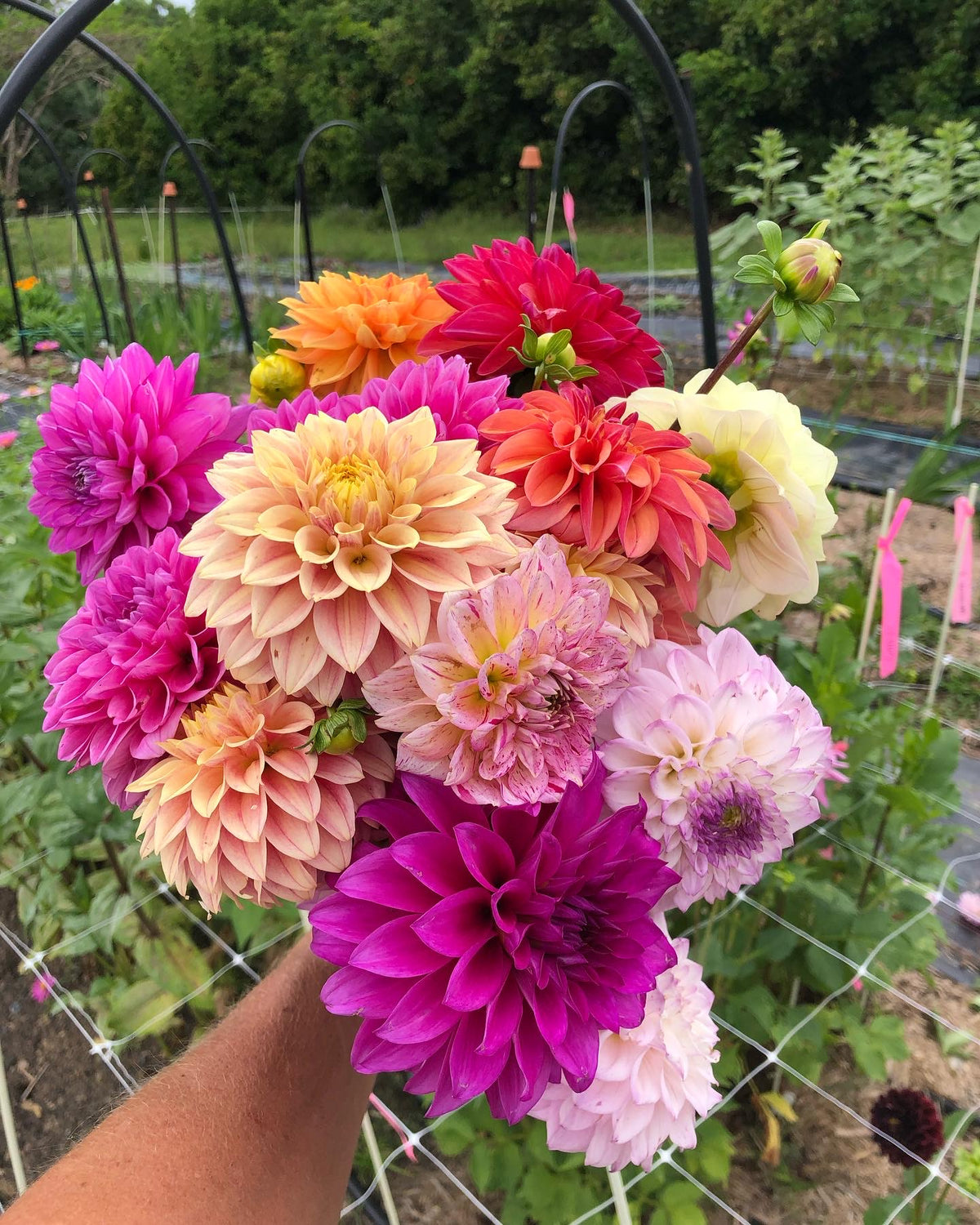 Large Bouquet