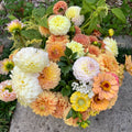 Dahlia Bucket: Choose Your Colour