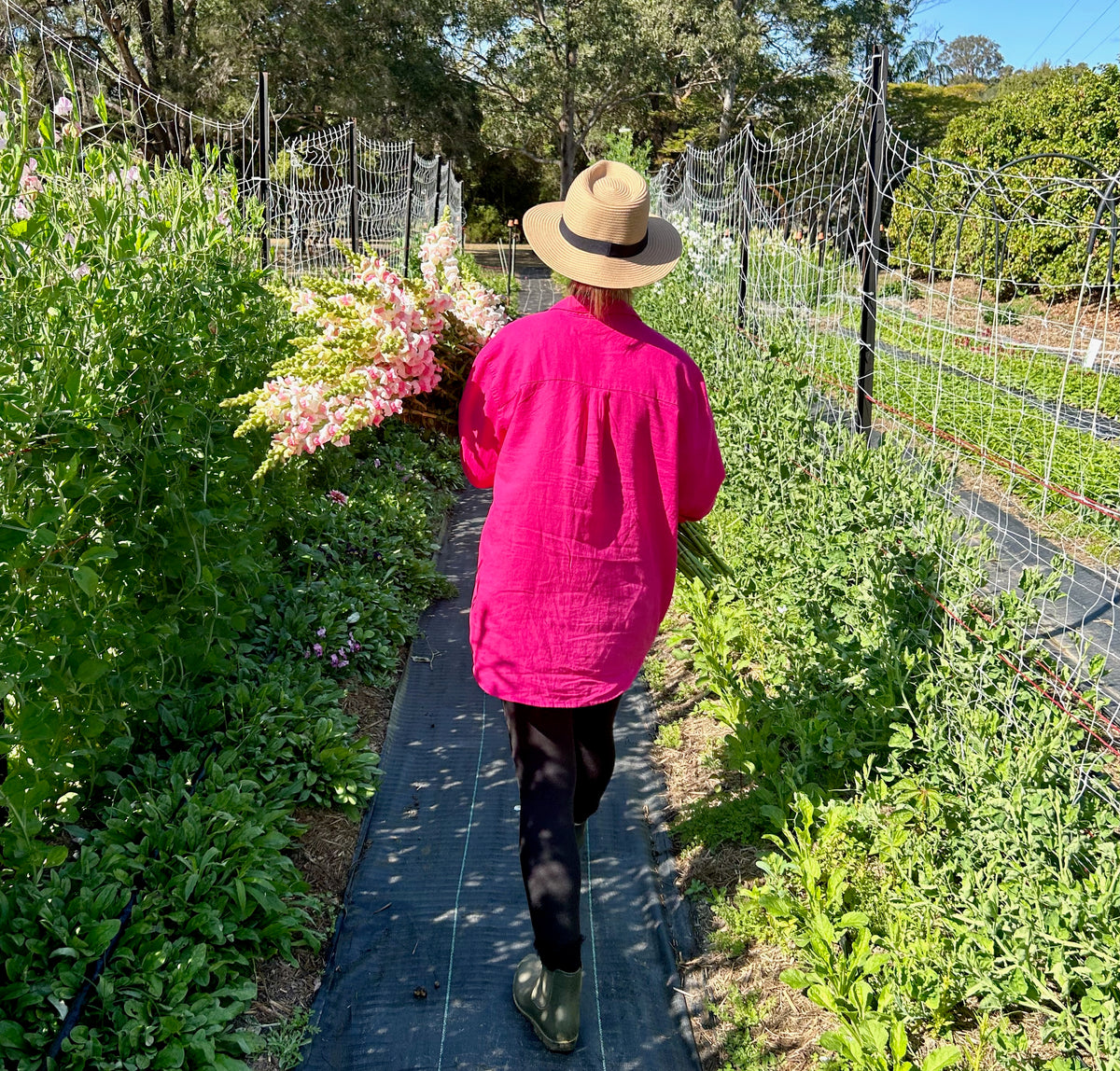 A Morning in Bloom